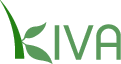 Kiva